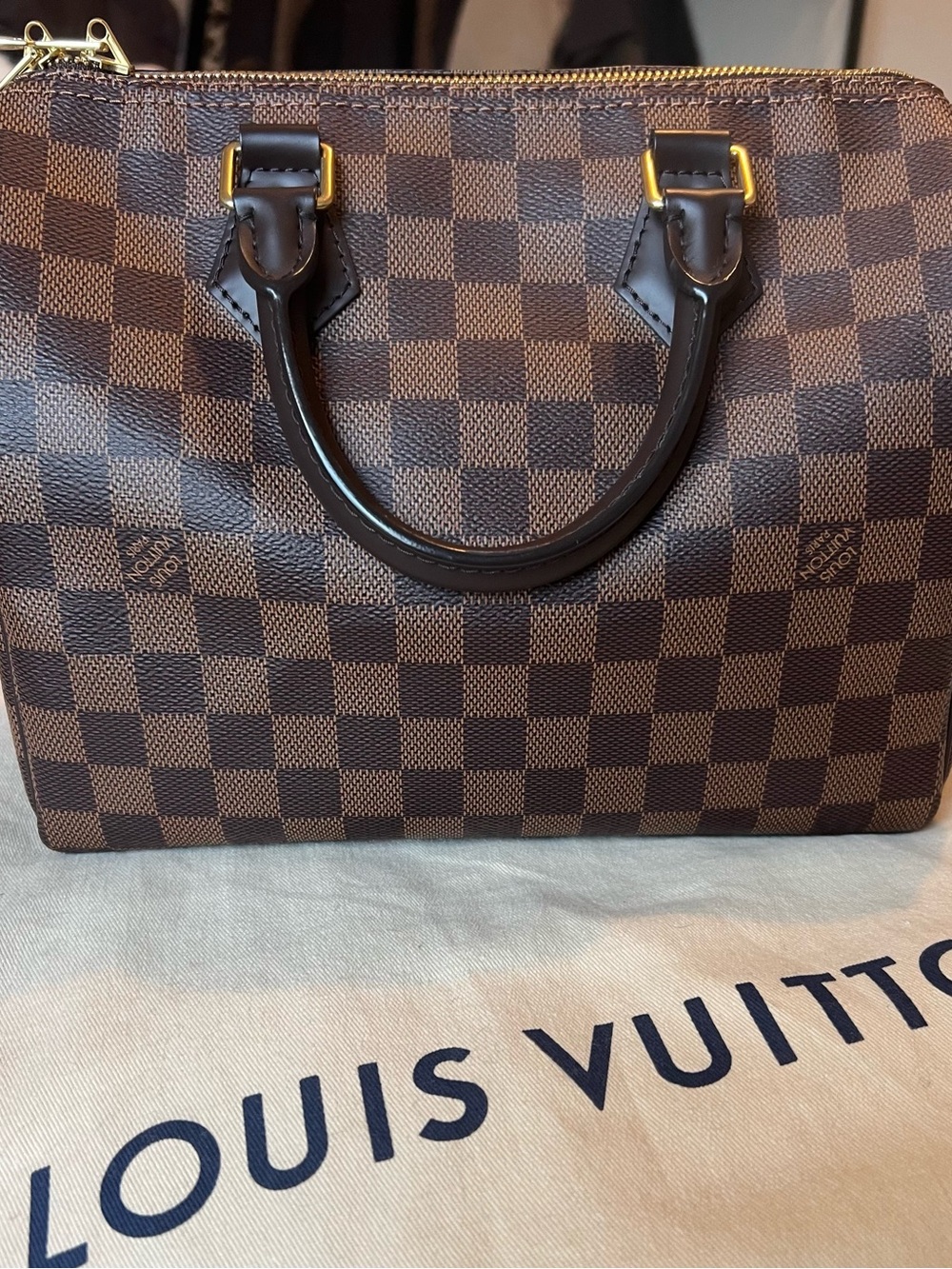 Louis Vuitton Speedy B Damier Ebene 25
